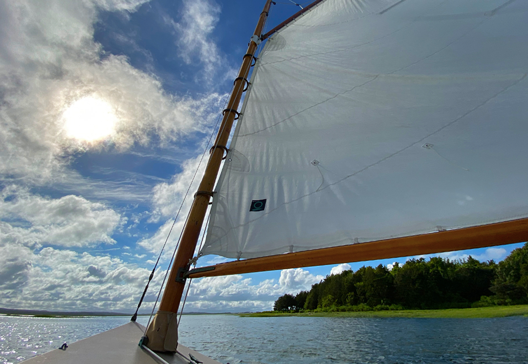 Learning the Basics of Sailing