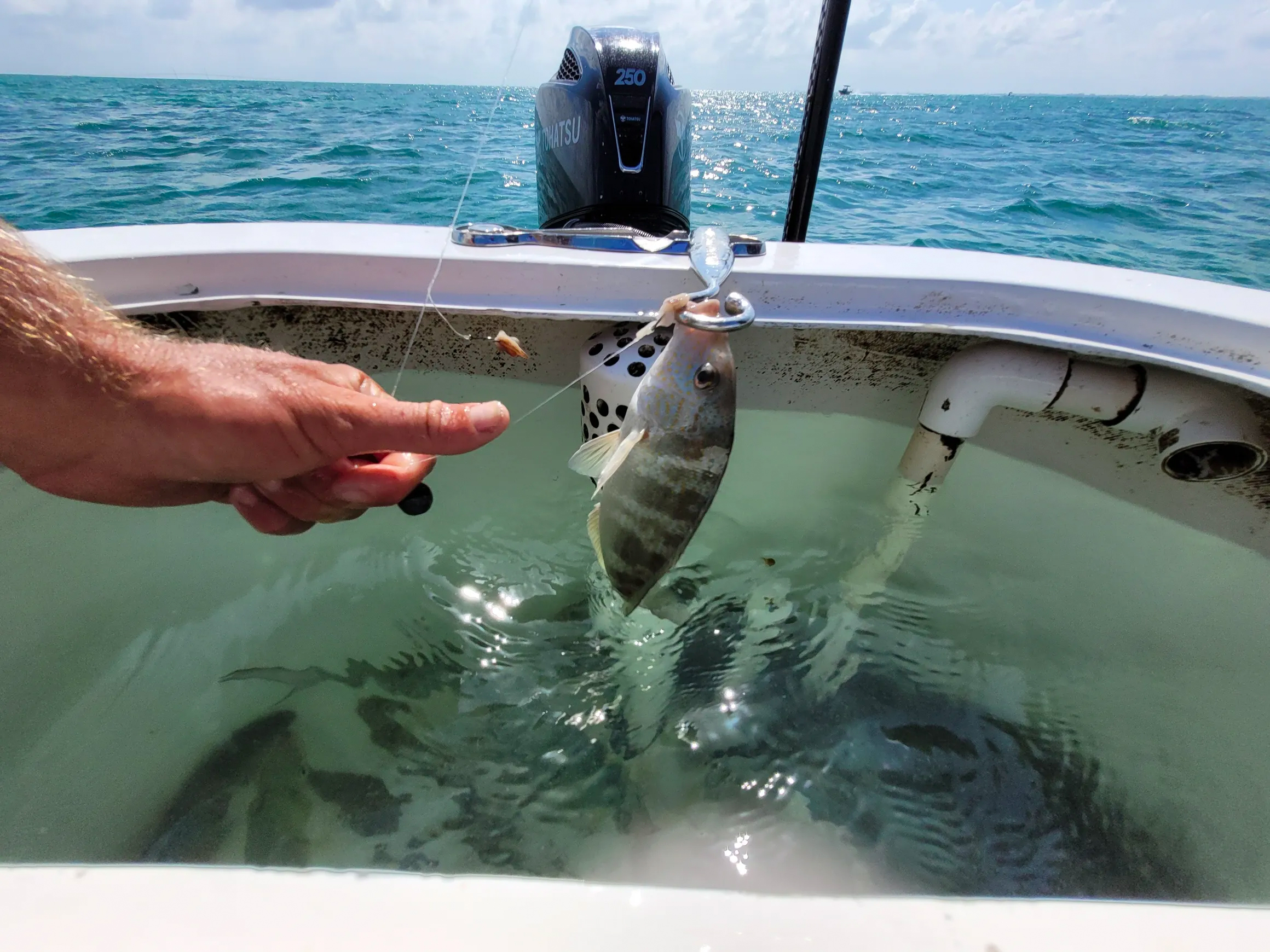 Boat Dehooker for fishing